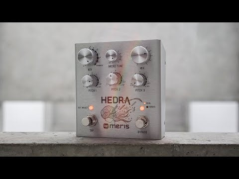 Hedra Pedal 3-Voice Rhythmic Pitch Shifter – MIXWAVE ONLINE STORE
