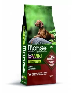 Monge BWILD