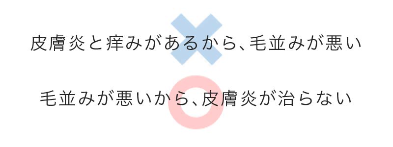 アロペシアGR+ 1袋（30粒） | 犬の皮膚科 メディカルスキンケアセンター