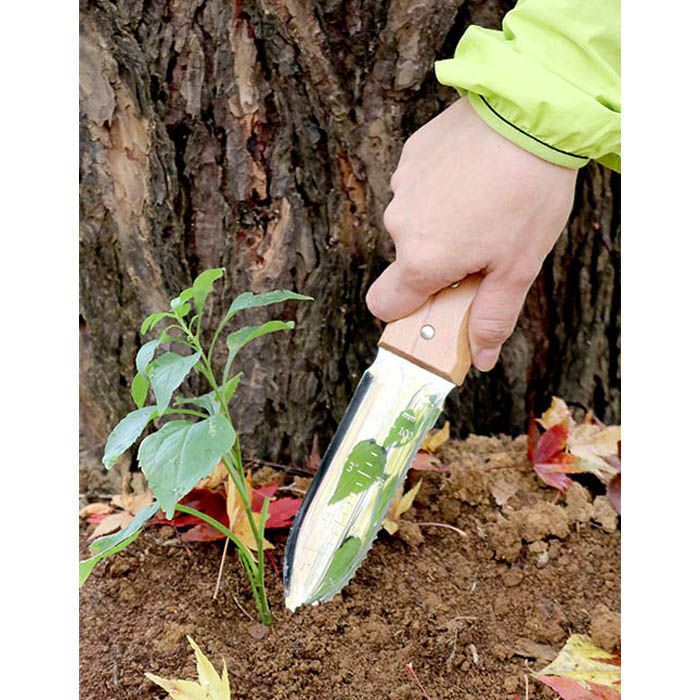 仁作 レジャーナイフ 山小太刀［No.6200］＜株式会社富田刃物＞日本の