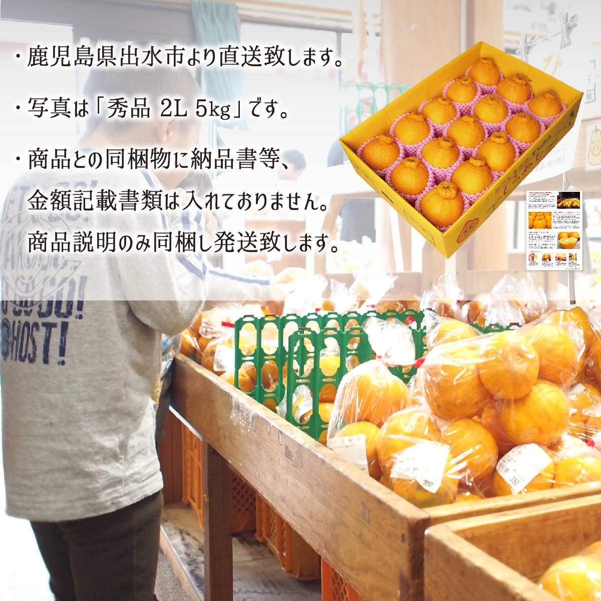 不知火(デコポン) 秀品 L 10kg 減農薬 無化学肥料 特別栽培 鹿児島県