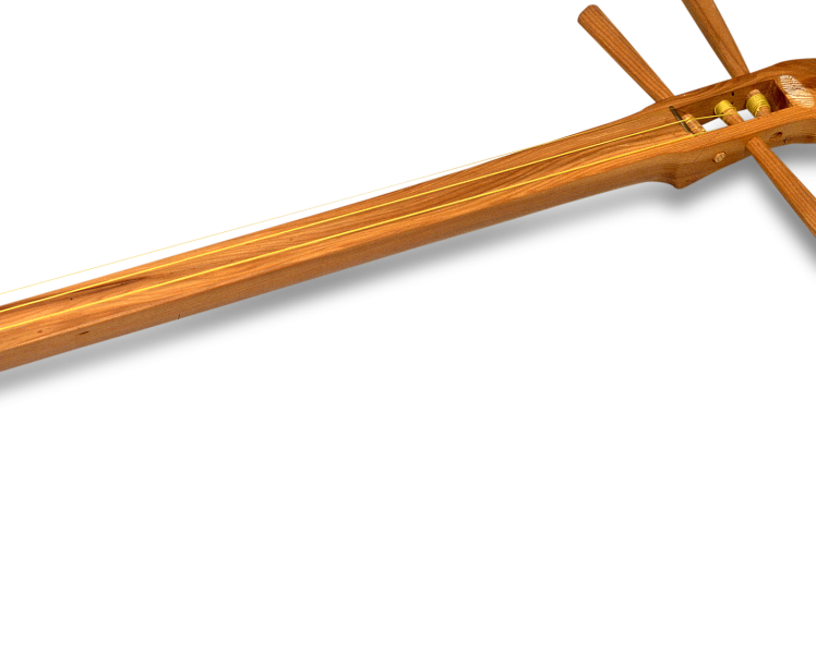 ゴッタン｜コレクション｜民音音楽博物館