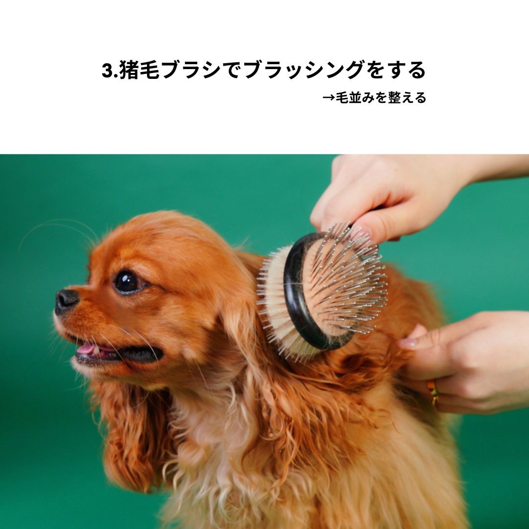 数量限定】【4月中お届け予定】つやふわセット【ペットブラシ＋ミスト