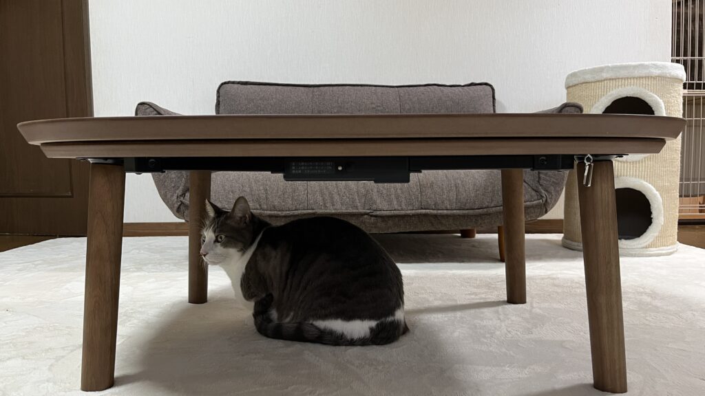 東北でも温かく、オフシーズンはローテーブルとしても活躍する無印良品