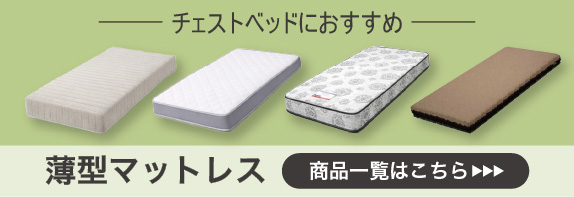 通常引き出し】すのこチェストベッドフレーム(セミダブル N-ジオT2 GY