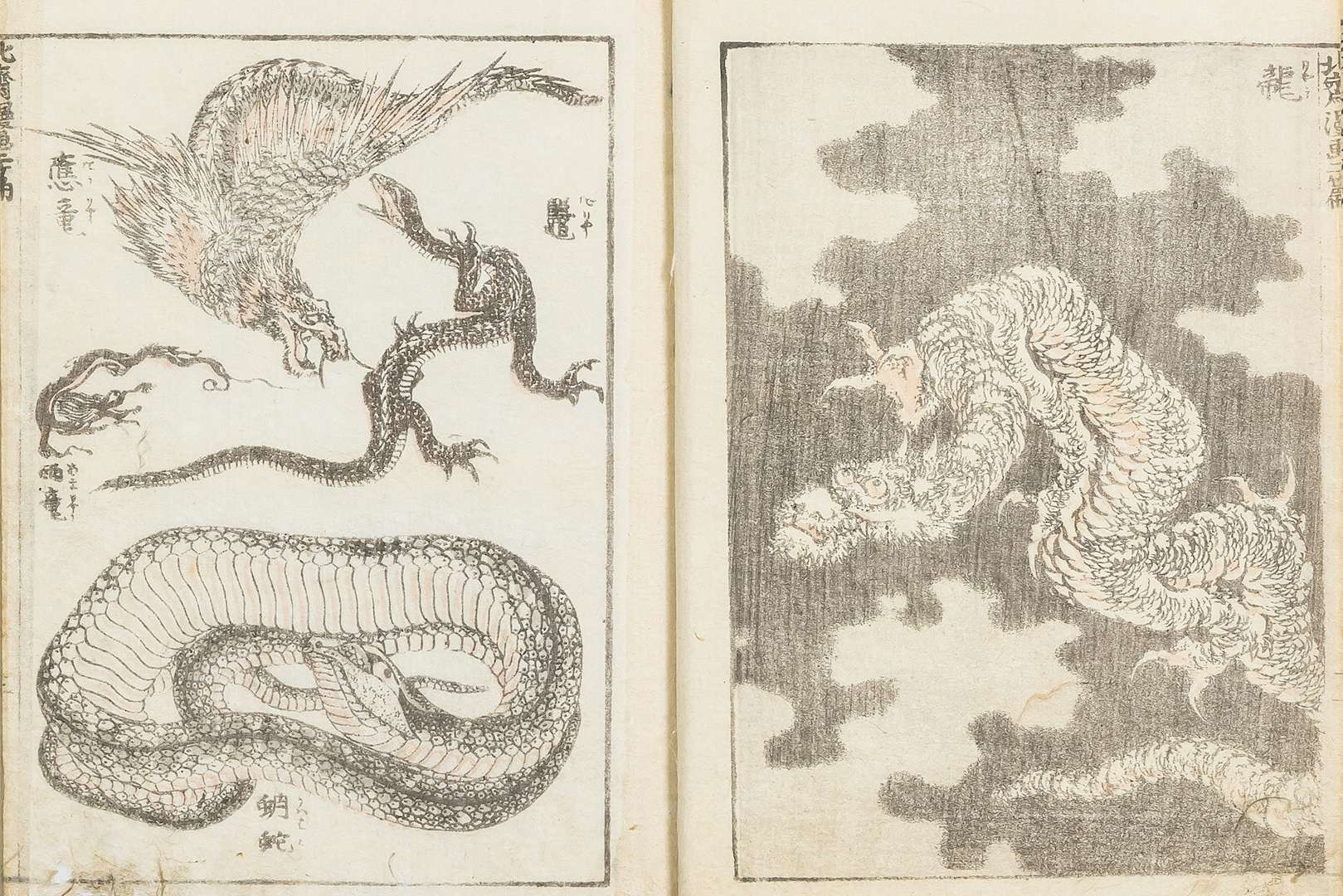 北斎が魅せる「龍」と「鳳凰」。北斎館で「北斎を魅了した天舞う瑞獣