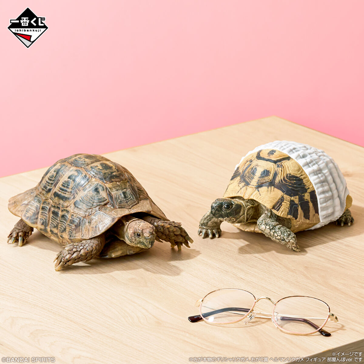 ローソン】超リアルな「爬虫類&両生類」だらけの一番くじ登場 - ラスト