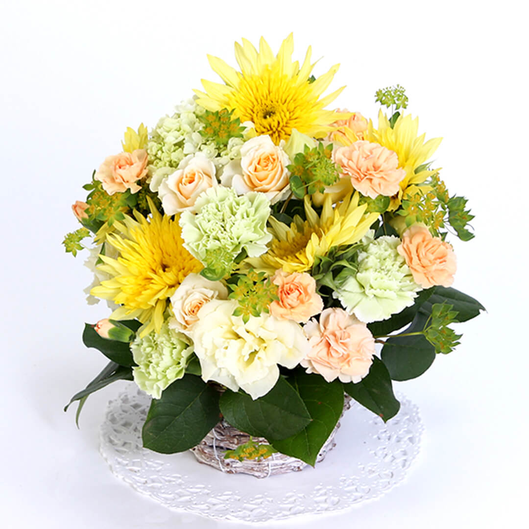 孔雀の羽根 ピーコックソード | 花のギフト | 日本総合園芸