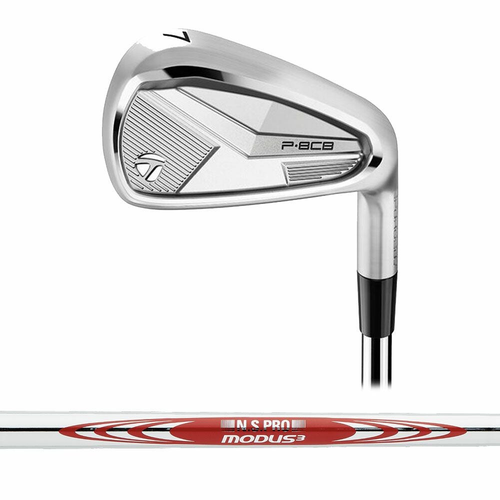 テーラーメイド TaylorMade P790 アイアン（5本セット） N.S.PRO