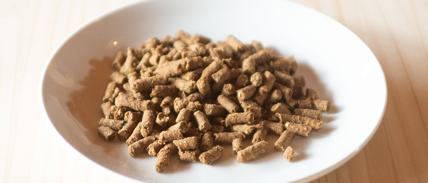 TASHIKA / 多可町の地域課題解決型ドッグフード