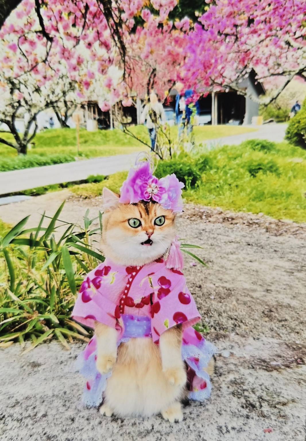 にゃんだらけ公式サイト