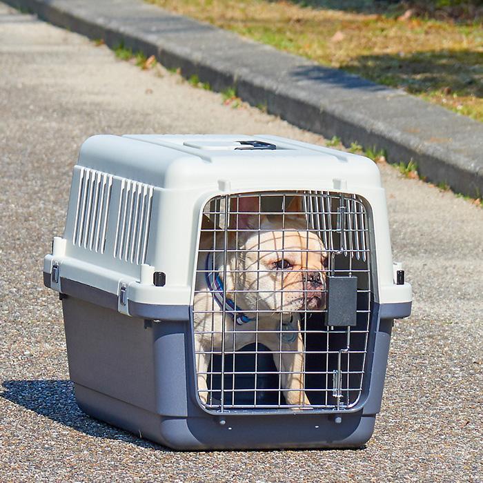 ペットケンネル・ファーストクラス（L70) | 株式会社オーエフティー