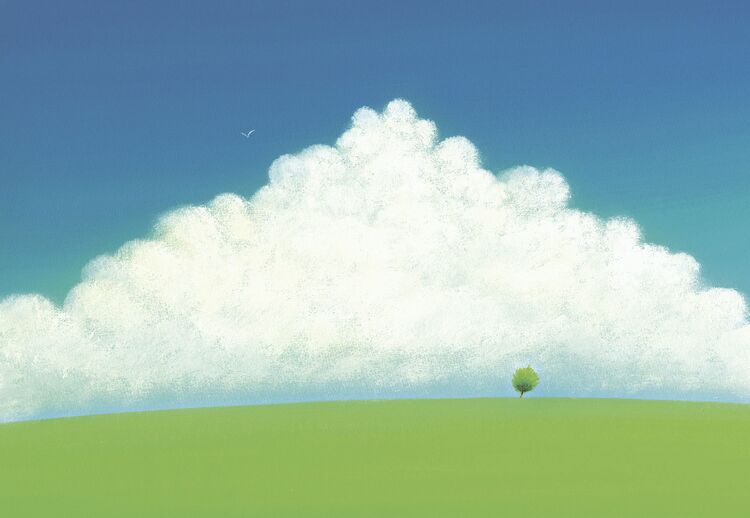 悲しみ癒やす 葉さんの絵本 息子失った母が紹介 | 沖縄タイムス＋プラス