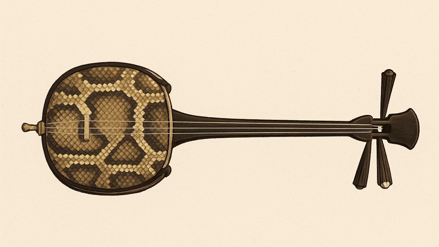 沖縄の伝統楽器は三線だけじゃない！一覧で特徴と歴史を紹介！ | 沖縄ナビ