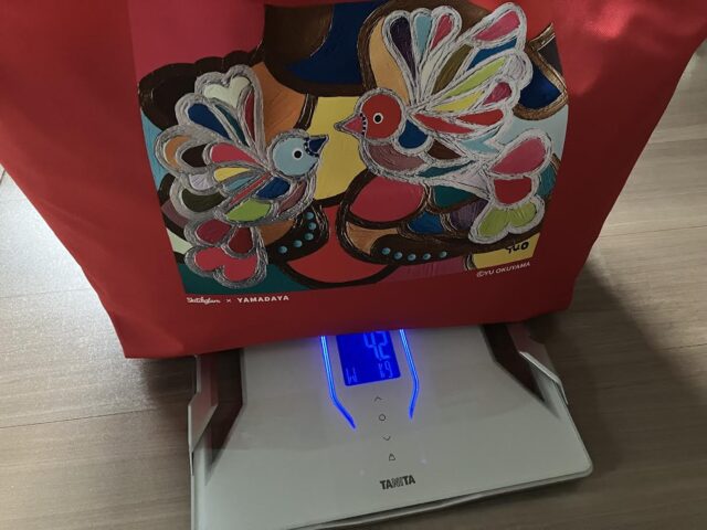 ヤマダヤ福袋2026年3万円のリアル評価！使えるアイテムと実質総額を