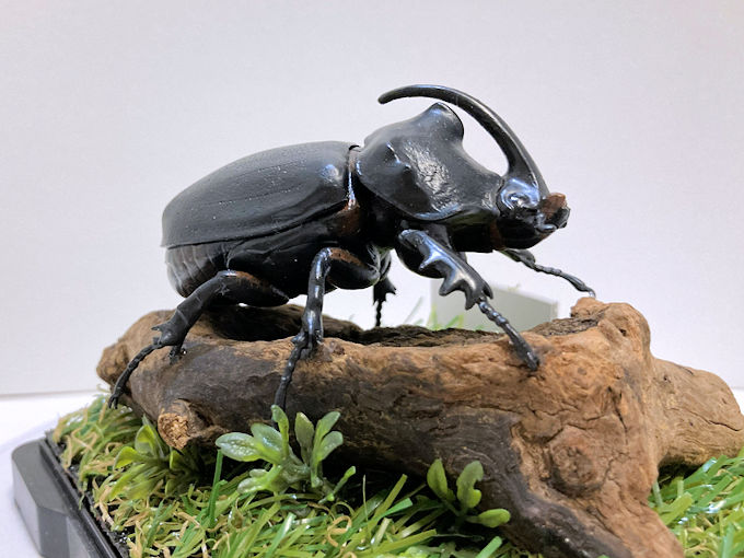 タランドゥスオオツヤクワガタ♂79mmレプリカジオラマ標本