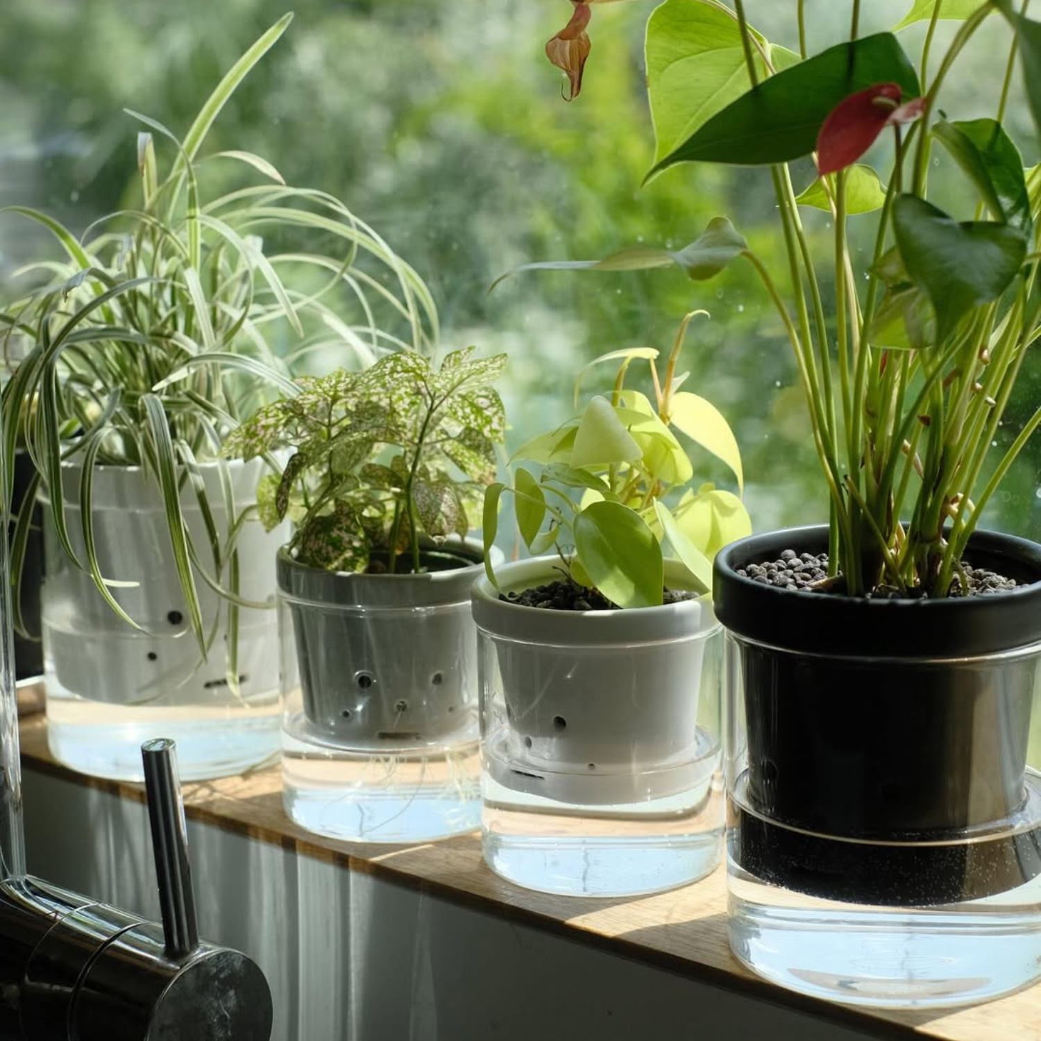 水耕栽培用 ハイドロカルチャー専用鉢 食虫植物の鉢｜陶器 おしゃれな