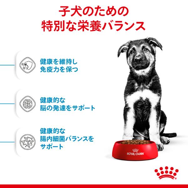 ロイヤルカナン サイズ ヘルス ニュートリション マキシ パピー 15kg