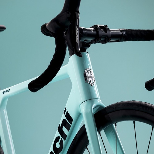 BIANCHI ( ビアンキ ) ロードバイク SPRINT DISC ( スプリント