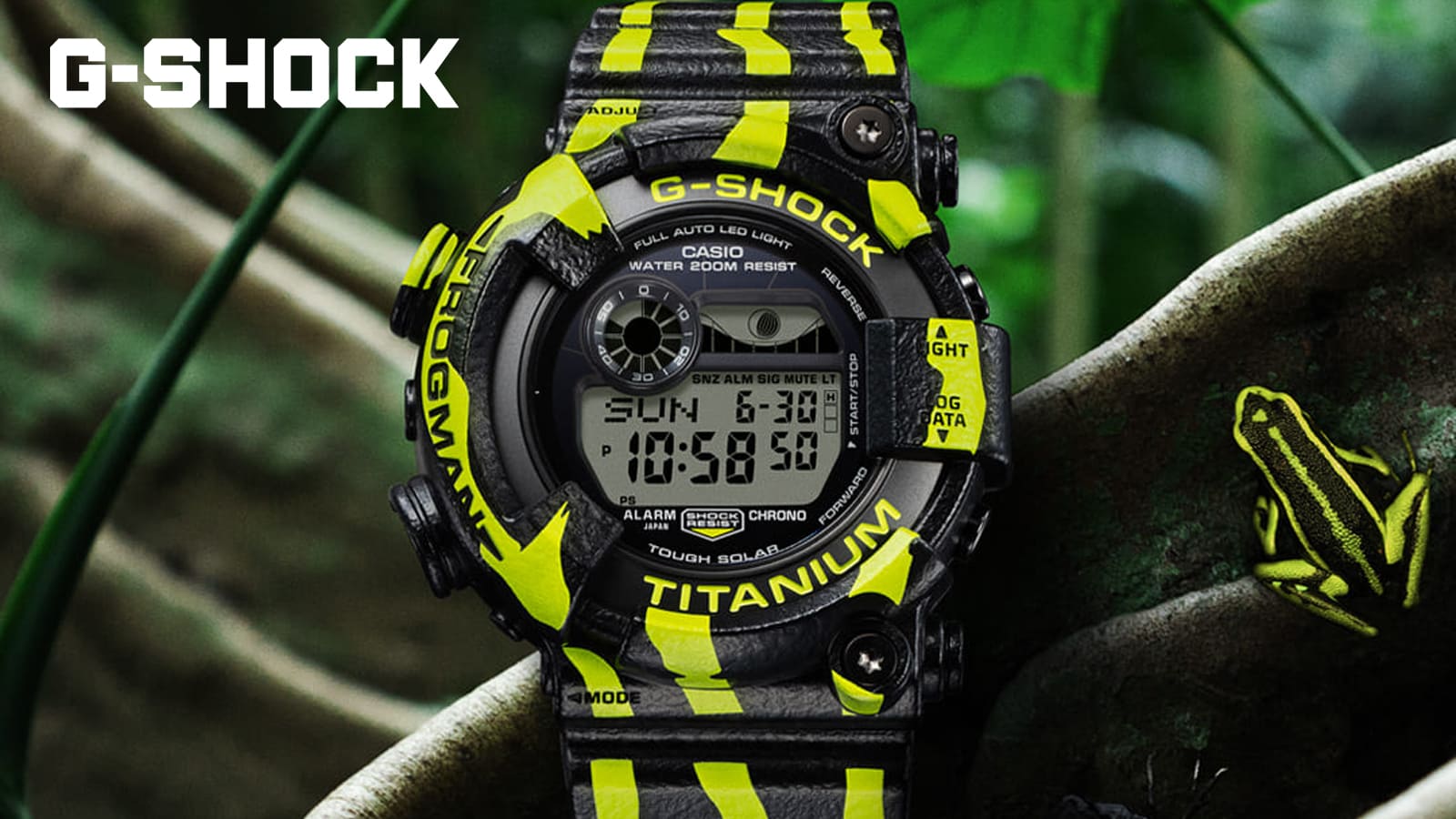 年末を彩る衝撃作。FROGMAN「ミスジヤドクガエル」登場！ | PRIVE