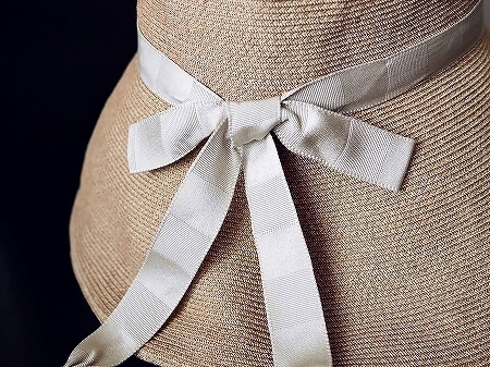 着画】アシーナニューヨークの「SHIHO TANBODY ハット」がリサコより