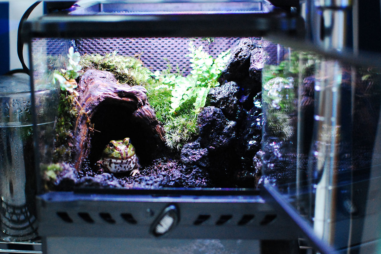 定番製品！「グラステラリウム ナノ キューブ」実使用レビュー