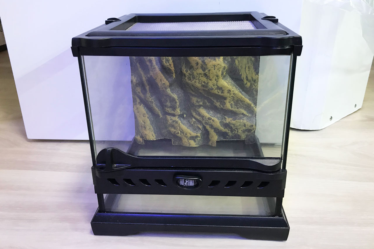 定番製品！「グラステラリウム ナノ キューブ」実使用レビュー