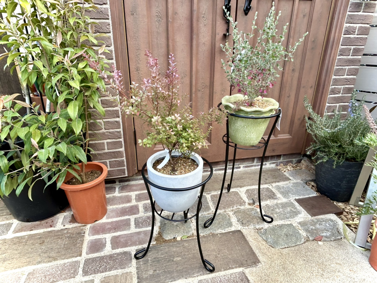 感謝祭セール商品紹介~園芸用品編~ 鉢・ 土・スプレー・鋏・フラワー