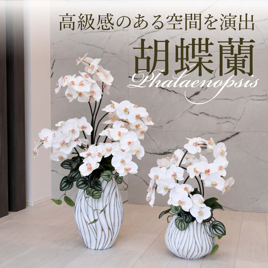 ファレノプシス(胡蝶蘭) | パレフローラ公式通販｜アーティフィシャル