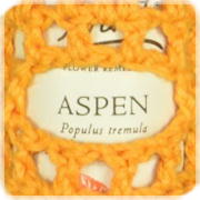 バッチフラワーボトル保護ケースのご紹介 | e Pass Thyme