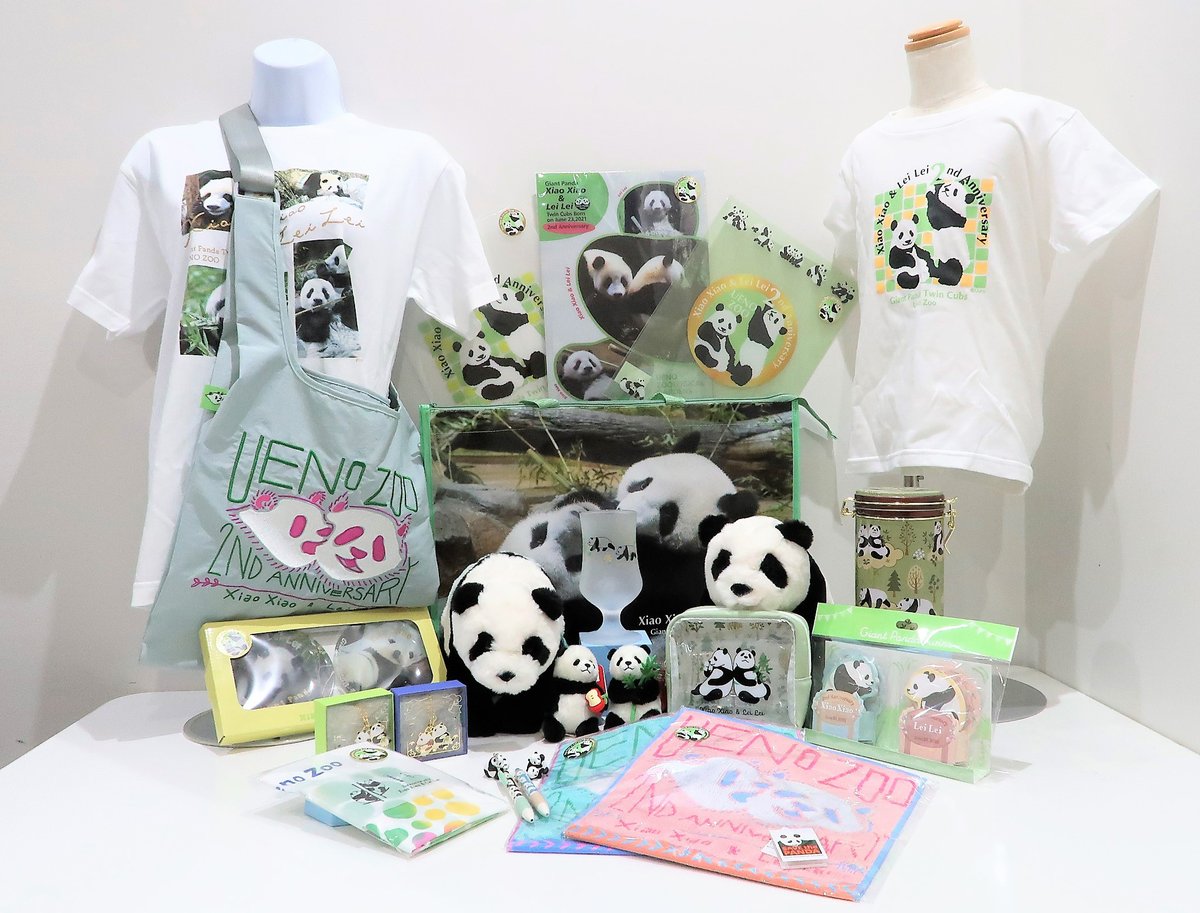 園内ギフトショップより】 双子のジャイアントパンダ 暁暁＆蕾蕾の2歳