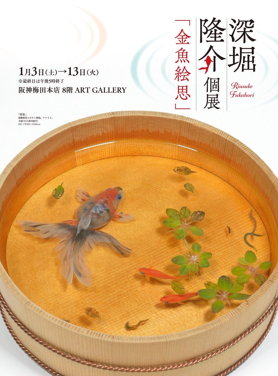 深堀隆介展『金魚絵思』開幕‼️ 2026年1月3日（土）〜1月13日（火