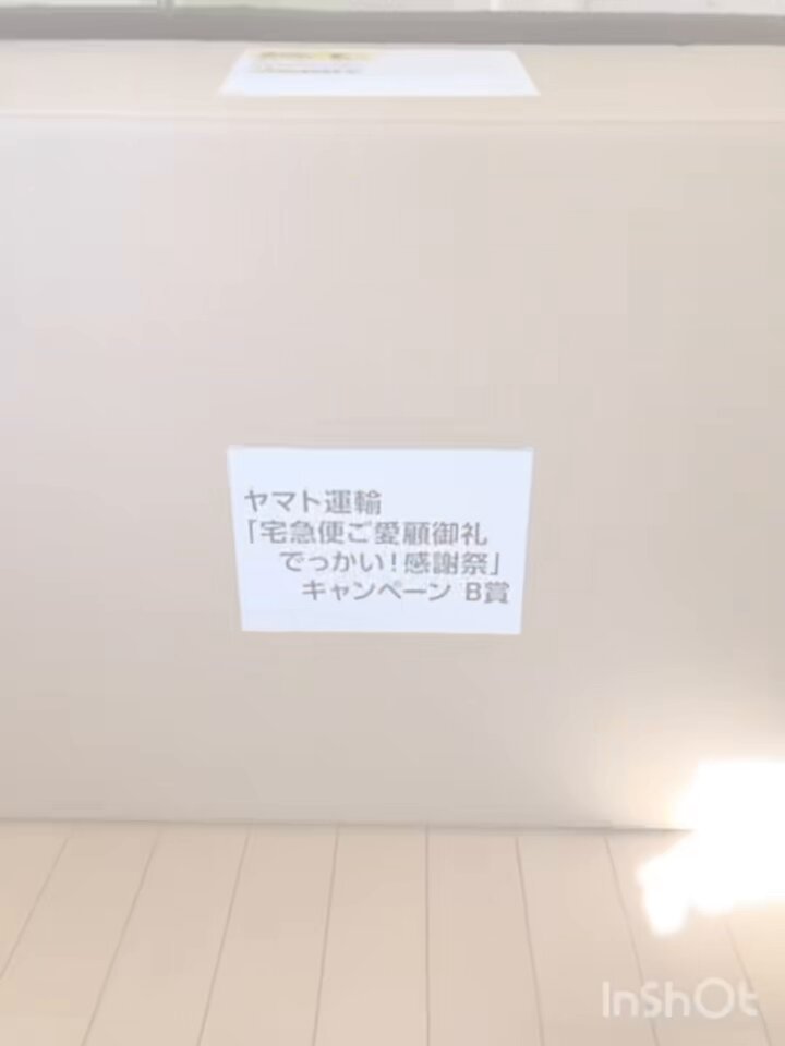 B賞 でっかい！ねこぬいぐるみ 開封動画アップしました⤴️ #ヤマト