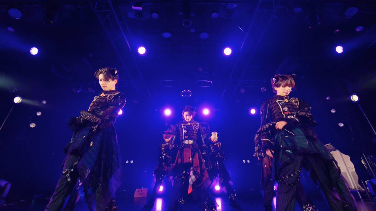 猫になってもツレサリタイにゃん🐈‍⬛