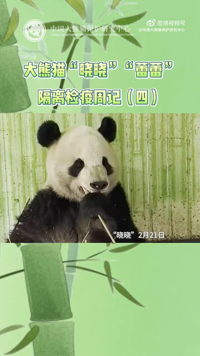 ちーじー🐼🌼 (@mutasokj) / Posts / X