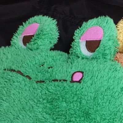 ぐーたらポッケのポッケちゃ🐸 (@Pokke_pokepoke) / Posts / X