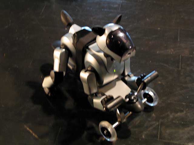 AIBO EXPO 2002が18日に開幕