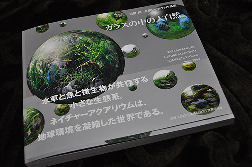 天野尚作品集「ガラスの中の大自然」 : ネイチャーアクアリウム的生活