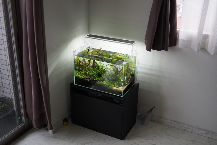 ADA 45cm水槽 after : なんちゃってアクアリスト！？