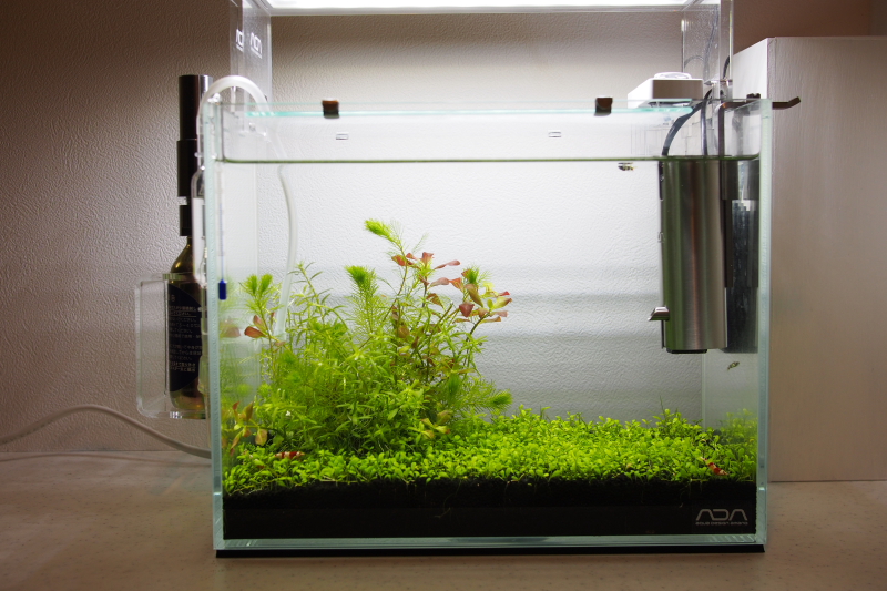 ADA VUPPA－1 ADA ☆VUPPA-1ブッパ 1☆アクアデザインアマノ ADA