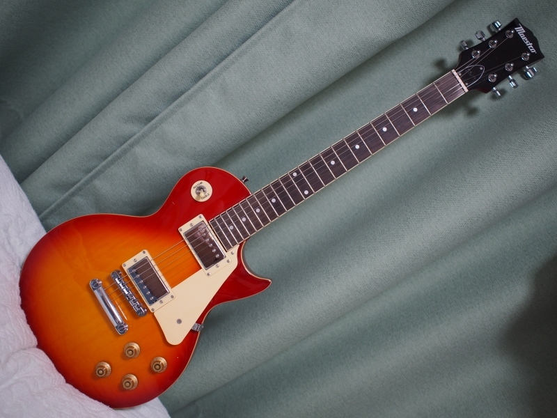 Maestro by Gibson Les Paul Standard : Reflections of Reality