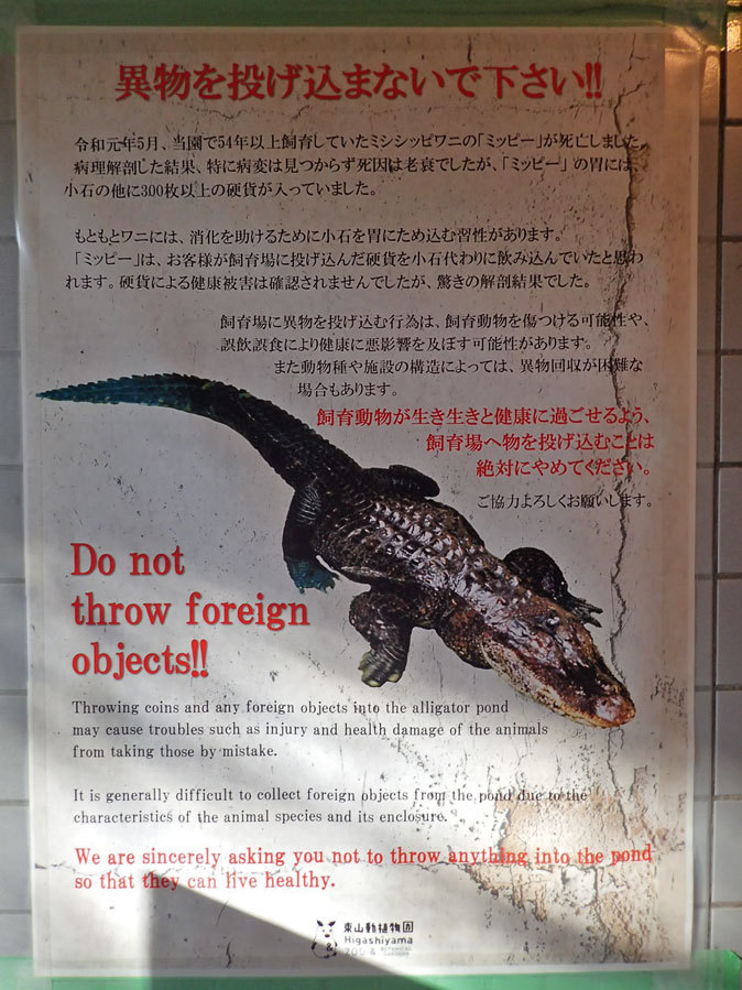 東山動植物園：亡くなったミシシッピワニの胃から出て来たものとは