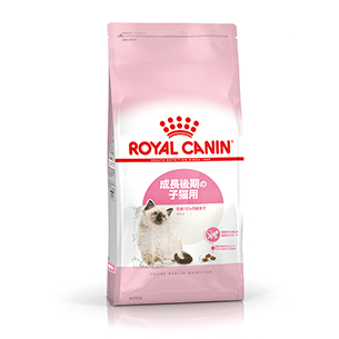 FHN キトン 成長後期 子猫用 2kg: 100｜業務用トリミング用品通販