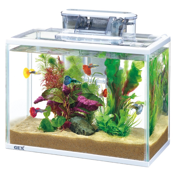 スリムアクアセット 300: 100｜業務用トリミング用品通販ショップ