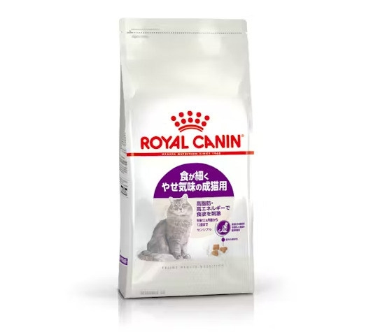 FHN キトン 成長後期 子猫用 10kg: 100｜業務用トリミング用品通販