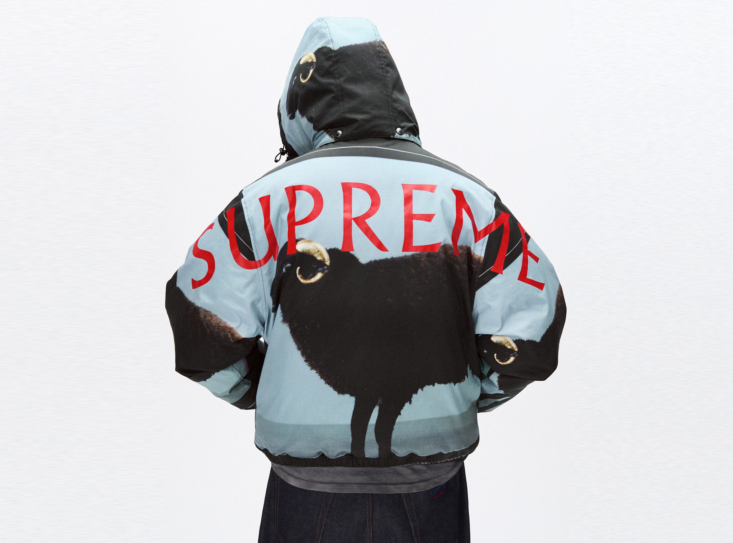 Damien Hirst Unleashes His Shark and Sheep for Supreme's New Drop