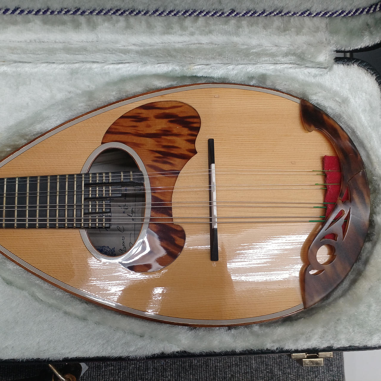 RAFFAELE CALACE|マンドリン|【ハードオフ公式通販】オフモール