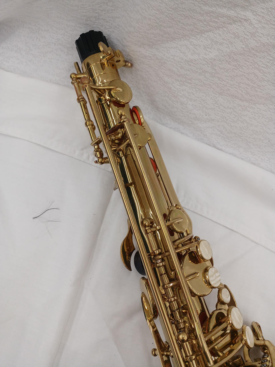 ケルントナー(KAERNTNER)|サックス|【ハードオフ公式通販】オフモール