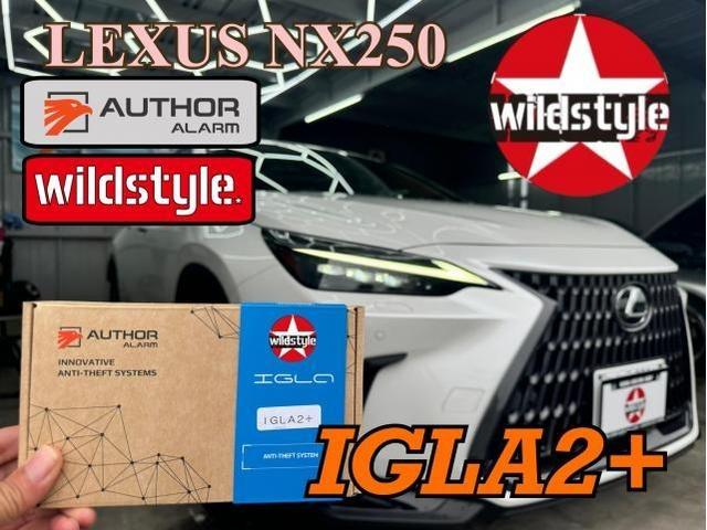 ｶｰｾｷｭﾘﾃｨ】ﾚｸｻｽ NX250 ｵｰｻｰｱﾗｰﾑ IGLA2+ 