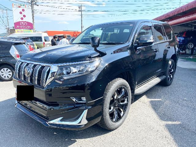 トヨタ ランドクルーザープラド チームデイトナ（レイズ） FDX F6 20